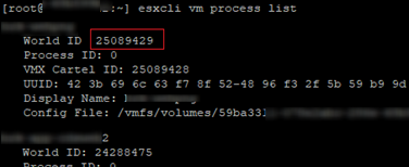 esxcli vm process list