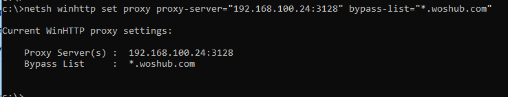 netsh winhttp set proxy proxy-server