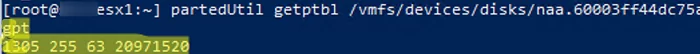 partedUtil getptbl get partition table
