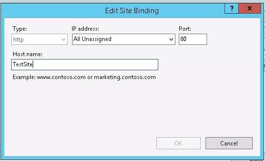 iis site binding